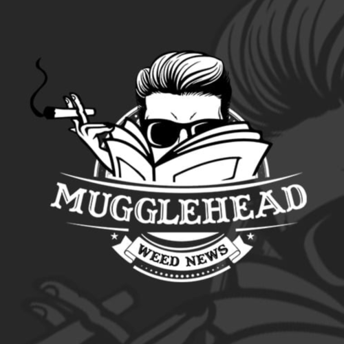 mugglehead weed news logo