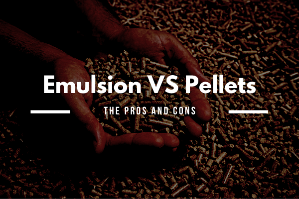 Are CBD Pellets for Horses the best way to administer CBD to your horse?