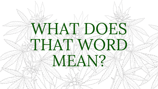 cannabis terms page header image