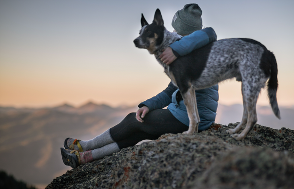 hiker with dog looks out into the horizon on top of the mountain