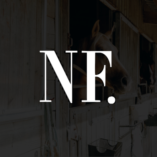 NF news story logo