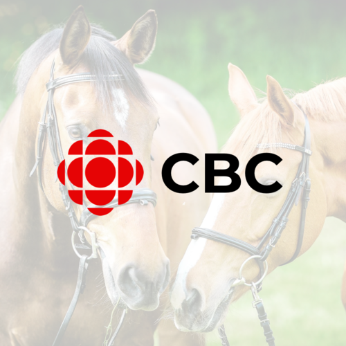 cbc canada logo with horse background